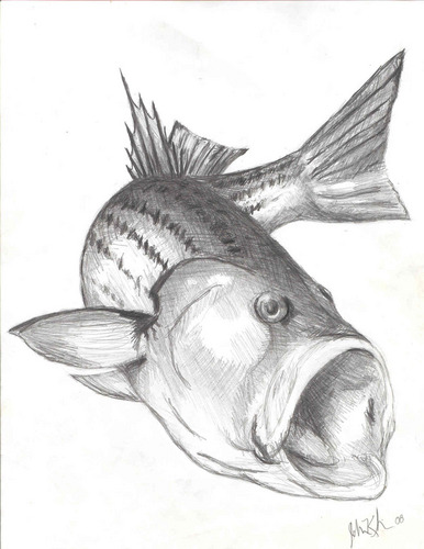 JKinBmore's profile picture. Chasing dreams and actually catching them since 1984.