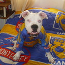 Sergio Tellez Olvera - @TellezOlvera - Twitter