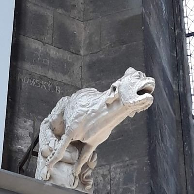 Cinziaruffi1's profile picture. 