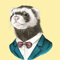 MartinMarten (@martinmarten5) 's Twitter Profile