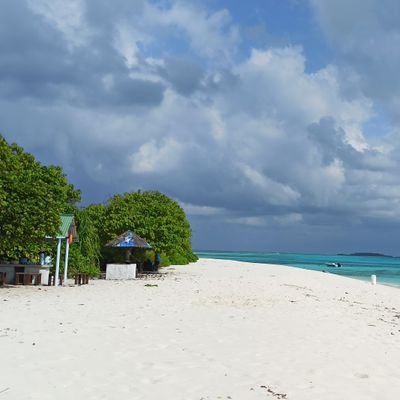 reesan_demahom's profile picture. 