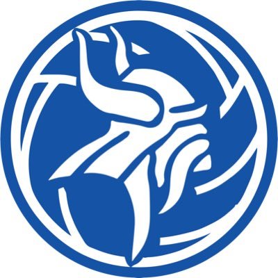 Official Twitter account for Nolan Catholic Lady Viking Volleyball, administered by @nolan_athletics Instagram: @nolancatholic_vb