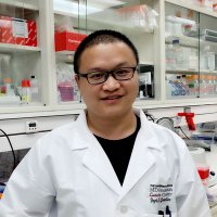 Kaile Wang (@kailewang) Twitter profile photo