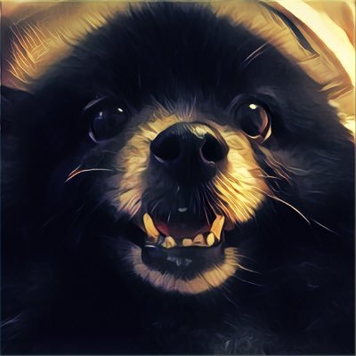 任天堂株式会社 on Twitter: 任天堂株式会社 on Twitter: