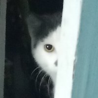 ink3y (@inkpleb) 's Twitter Profile Photo