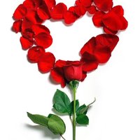 MEHTAP kadıköy-0534-56808-09 (@ustunelseden) Twitter profile photo