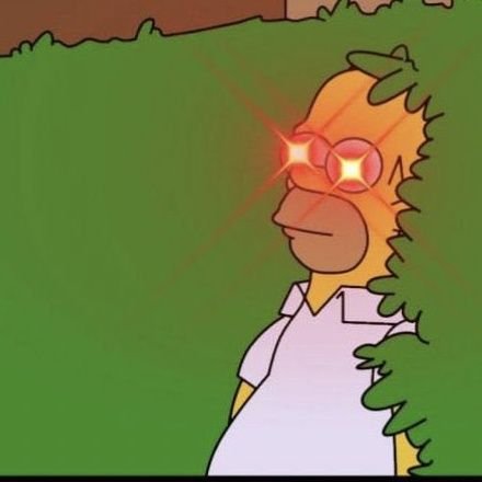 holder_simpson's profile picture. Donuts , duff beer #Coritiba and #bitcoin