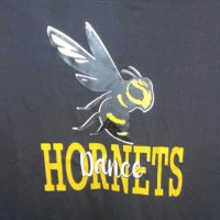 Hoffman Dance Club (@dancehoffman) 's Twitter Profile