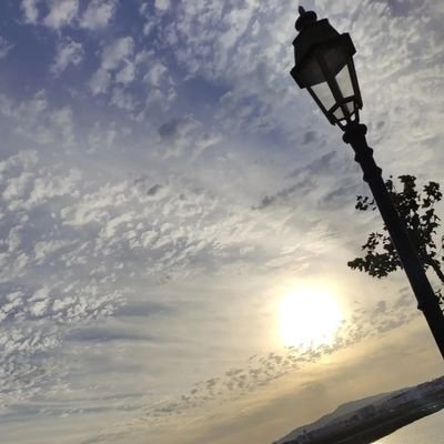 Lamohcin's profile picture. 𝕏