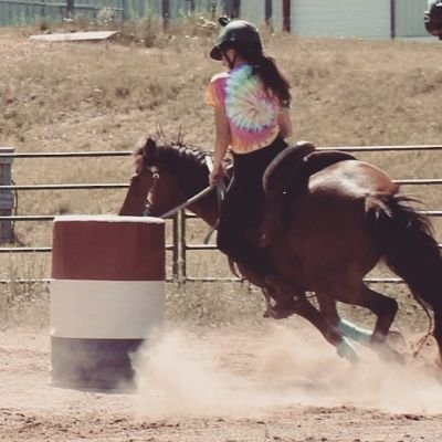 Stella--13.3hh Icelandic cross mare AKA JumpingPony