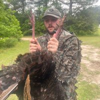Si Colley (@colley_si) 's Twitter Profile