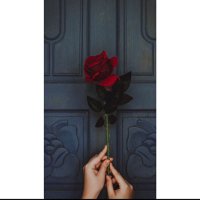 اصال المطير 😋 (@wi3x9p841k1wc0a) 's Twitter Profile