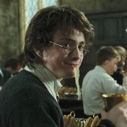 eveningstruggle's profile picture. 30s, she/her. dramione, birds, battlestar galactica.  @dmatmoobilbot & @loveandotherbot