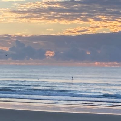 DallasMcDougall's profile picture. 