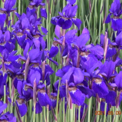 6FxtH8Q5gbJqYND's profile picture. 