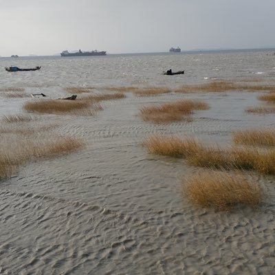 Bonzelee's profile picture. 男