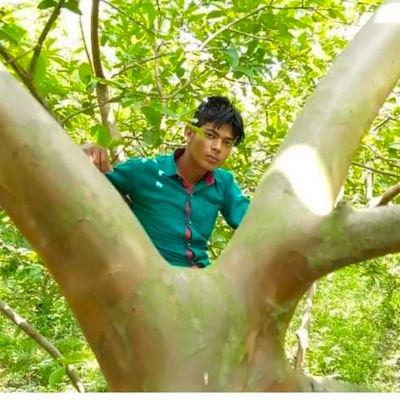 SinghMukeesh's profile picture. 