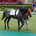 あおひょうたん🐎 (@sz74vu0nb7htyuy) Twitter profile photo あおひょうたん🐎 (@sz74vu0nb7htyuy) Twitter profile photo