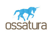 OssaturaLife's profile picture. A UK investment fund. Proving funding opportunities for small to medium enterprises in the UK and Ireland - without the bureaucracy!