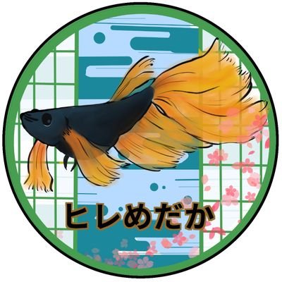 兵庫県のど田舎でメダカを増やしたりして楽しんでいます🥰まだまだ初心者なので色々教えて下さい😊
めだかを語れる人が周りに居ないので仲良くしていただければ嬉しいです✨ヒレ長やロングフィン系のメダカが好き😍✨✨✨✨今年もヒラヒラモフモフを頑張りたいです😁✨