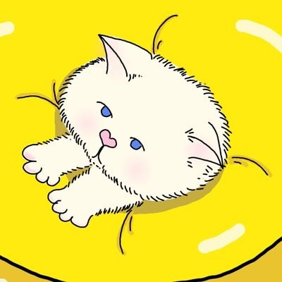 cat​ cushionさんのプロフィール画像