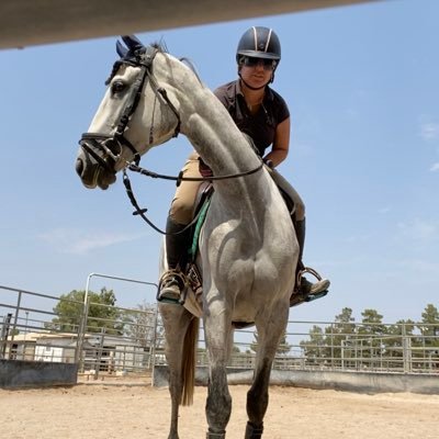Horse riding lessons & training in Dressage and show jumping.