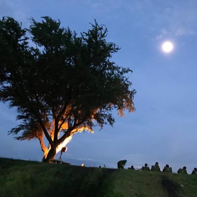 Problemforty's profile picture. ปลูกต้นไม้ไว้กินผล