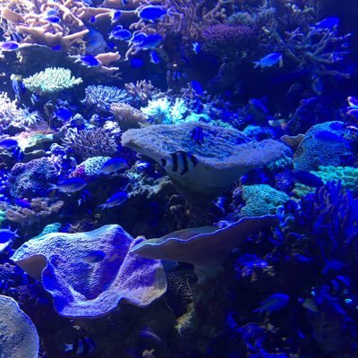 asa19861986's profile picture. 投資が好きです。宜しくお願い致します。