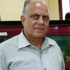 ChandPuni's profile picture. 