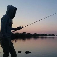 たけぺ🍯🐻 (@t_t_t_0419) 's Twitter Profile