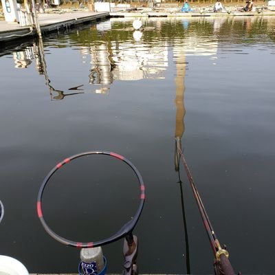 趣味　ヘラ釣り
椎の木湖が好きでよく行きます。

他にも
武蔵、清遊湖
みのわだ湖、間瀬湖、円良田湖、三名湖、鮎川湖、　
に行きます。
無言フォローお許し下さいませ。