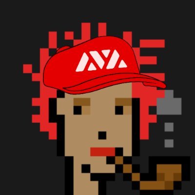 crypto_oyabin's profile picture. BlockchainEngineer Avalanche