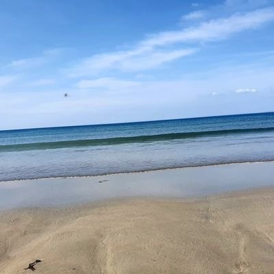 KarenKarenhealy's profile picture. 