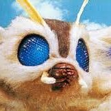 ぬいさんのプロフィール画像