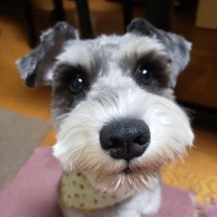 ゲーリー (@kaihanalove) 's Twitter Profile Photo ゲーリー (@kaihanalove) 's Twitter Profile Photo