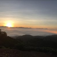 Frieda Carsey ❤️ Memecoin (@carseyfrieda) 's Twitter Profile