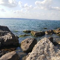 Özlem (@zlem81979573) 's Twitter Profile