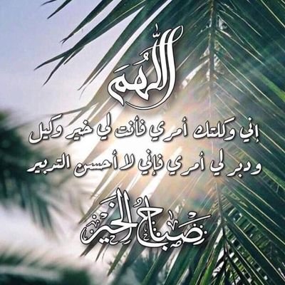 alnoweras's profile picture. 