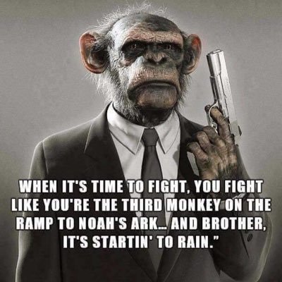 JohnShi19478518's profile picture. Indeed, independent