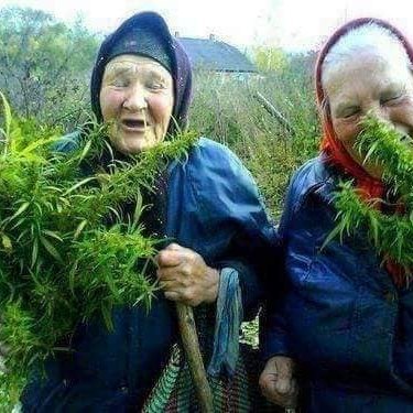 bonkovich_dean's profile picture. Saving the world one central bank at a time :).