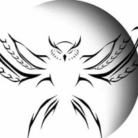 DLMMQB (@dlmmqb) Twitter profile photo