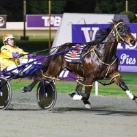 Rob Tomlinson (@robtomlinson11) 's Twitter Profile