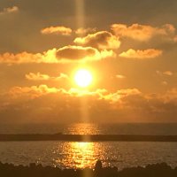 みかん (@zlhkkqu2dygftvt) 's Twitter Profile