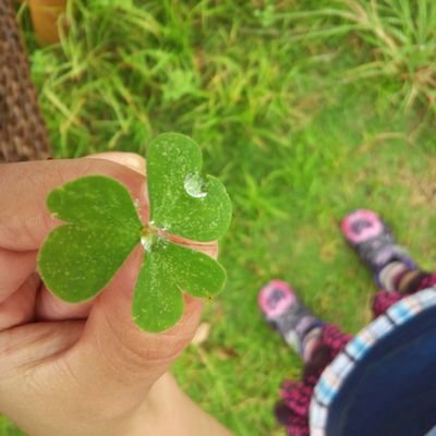 栄養サプリメントの勉強中→蜂蜜🍯