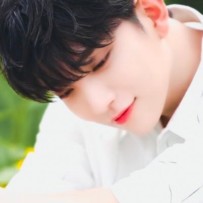 jisoorella's profile picture. 조슈아 💕 늦은 답변🙏🏻