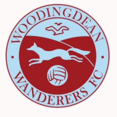 Woodingdean Wanderers Wildcats, the home of girls football in Woodingdean, Brighton! ⚽👍⚽ Up The Scamps! ⚽👍⚽