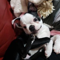 ベンディ (@ksrgnkao26) 's Twitter Profile Photo