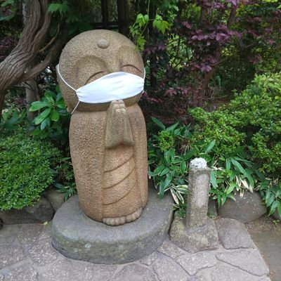 shimokity's profile picture. だいたい、無いものねだり。