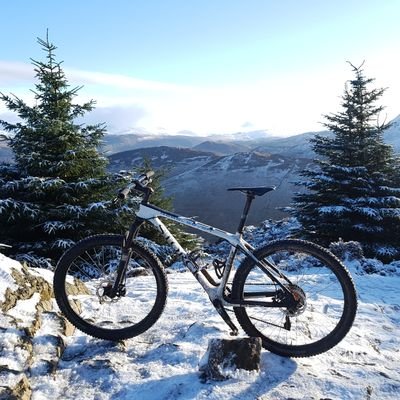 kev_gard's profile picture. Woodcutter