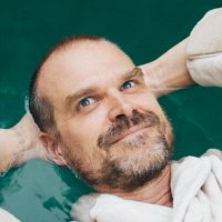 best of david harbour | fan account(@bestofharbour) 's Twitter Profile Photo